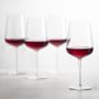 Schott Zwiesel Vervino Sauvignon Blanc Glasses, Set of 6