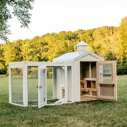 Charming White Chicken Coop with Silver Metal Roof, Chicken Run, and Cedar Cupola