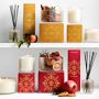 Raise A Toast Sparkling Pomegranate Diffuser