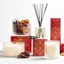 Raise A Toast Sparkling Pomegranate Diffuser