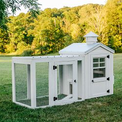 Charming White Chicken Coop with Silver Metal Roof, Chicken Run, and Cedar Cupola