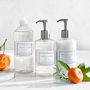 Williams Sonoma Amalfi Coast Dish Soap