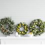 Lemon & Eucalyptus Live Wreath, 20&quot;