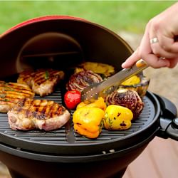 Cuisinart 2-in-1 Indoor &amp; Outdoor Electric Grill