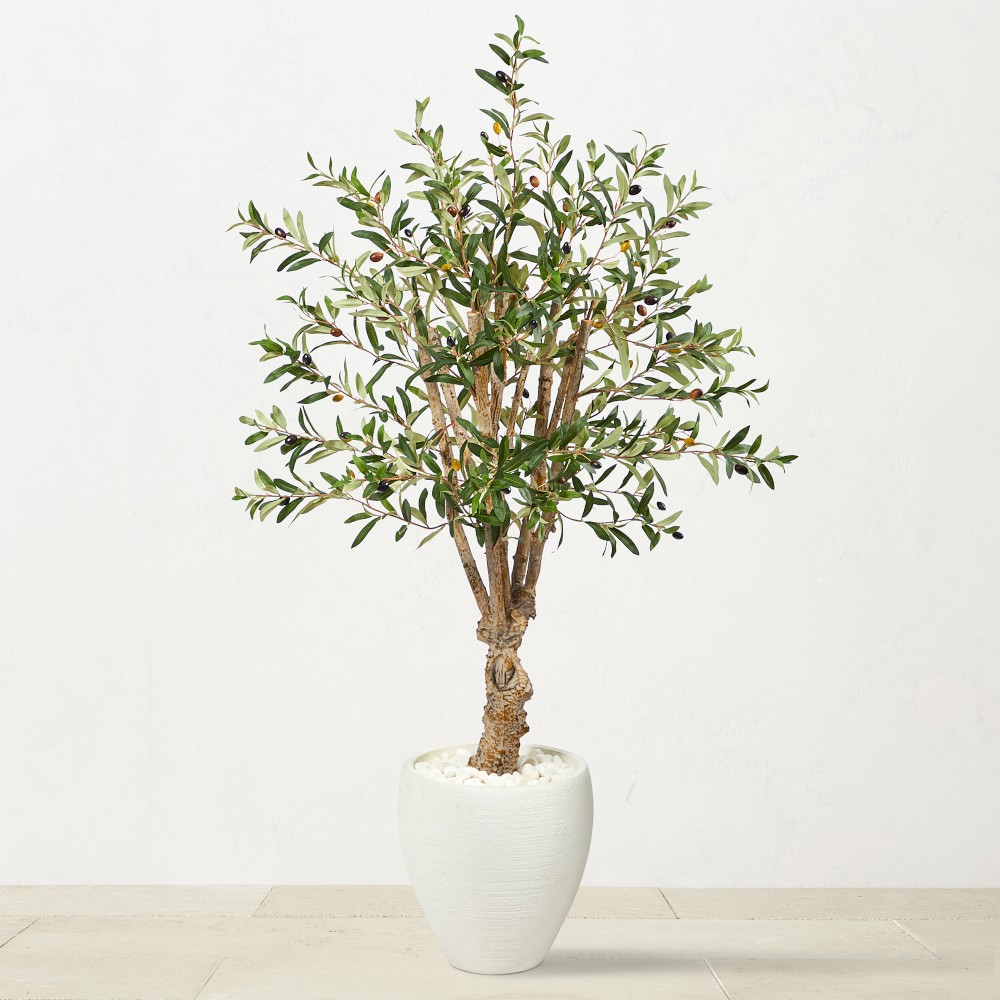Faux Olive Tree in White Planter, 53"