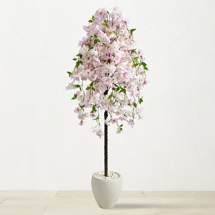 Faux Indoor Cherry Blossom Tree in White Planter, 70"