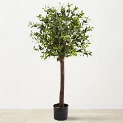 Faux Silk Olive Tree Indoor Topiary, 48"