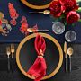 Apilco Reglisse Porcelain Dinnerware Collection