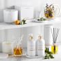 Home Fragrance Citrus &amp; Sage Collection