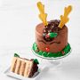 Reindeer Cake