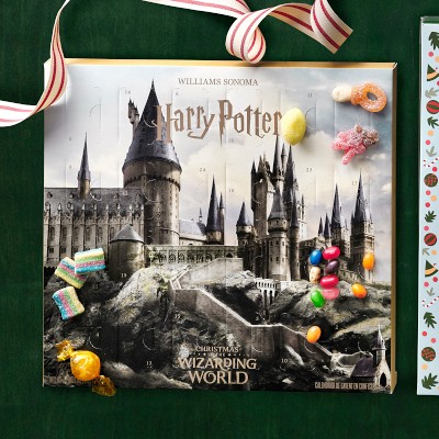 HARRY POTTER&#8482; x Williams Sonoma Advent Calendar