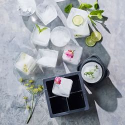 Williams Sonoma Classic King Cube Tray with Lid, Set of 2