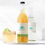 Casamigos x Williams Sonoma Margarita Mix, Cucumber Chile