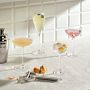 Nude Savage Coupe Glasses, Set of 2