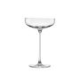 Nude Savage Coupe Glasses, Set of 2
