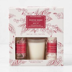 Williams Sonoma Winter Berry Guest Set
