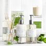 Williams Sonoma Cucumber Blossom Collection