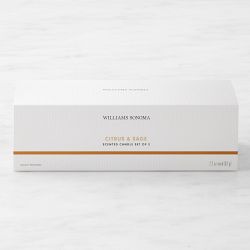 Home Fragrance Candles Set of 3, Citrus and Sage