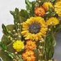 Sunflower & Myrtle Live Wreath, 22&quot;