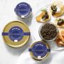 Williams Sonoma Royale Caviar Tin