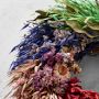 Rainbow Kaleidoscope Live Wreath