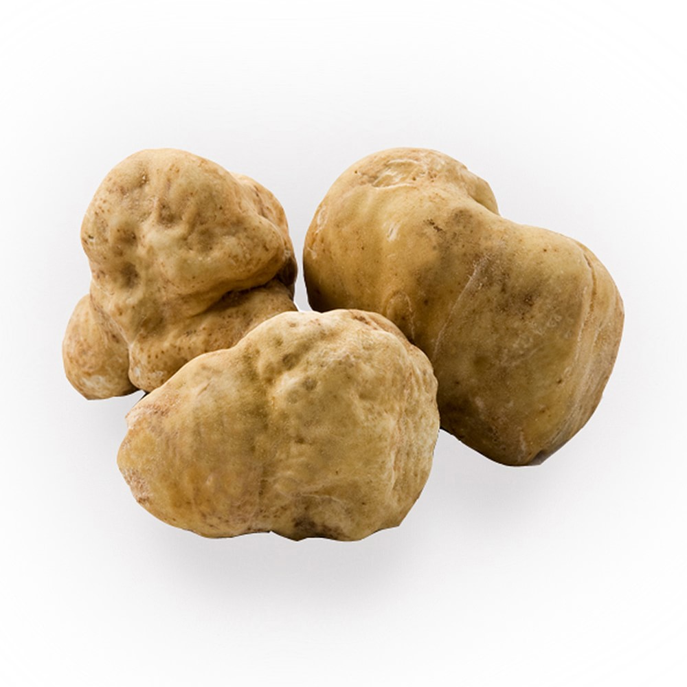 White Truffles, Small