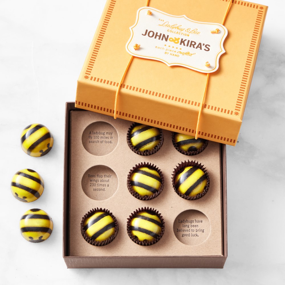 John & Kira's Chocolate Bumble Bees, Set of 9