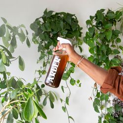 Arber Organic Indoor Gardening Kit