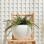 Faux Boston Fern Drop-In, 12&quot;-16&quot;