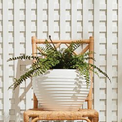 Faux Boston Fern Drop-In, 12&quot;-16&quot;
