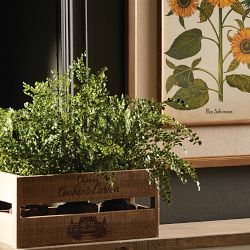 Faux Maidenhair Fern Drop-In, 18&quot;-23&quot;