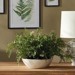 Faux Maidenhair Fern Drop-In, 18&quot;-23&quot;