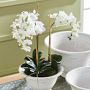 Faux Phalaenopsis Orchid Drop-In,16&quot;