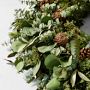 Jeff Leatham x Williams Sonoma Sonoma Winter Classic Live Wreath &amp; Garland
