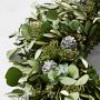 Jeff Leatham x Williams Sonoma Sonoma Winter Live Wreath &amp; Garland