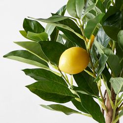 Limone Faux Lemon Topiary in Blue &amp; White Pot, 10&quot;