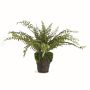 Faux Boston Fern Drop-In, 12&quot;-16&quot;