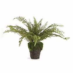 Faux Boston Fern Drop-In, 12&quot;-16&quot;