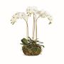 Faux Phalaenopsis Orchid Drop-In,16&quot;