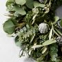 Jeff Leatham x Williams Sonoma Sonoma Winter Live Wreath &amp; Garland