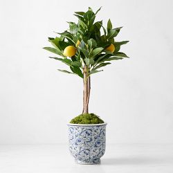 Limone Faux Lemon Topiary in Blue & White Pot, 10"