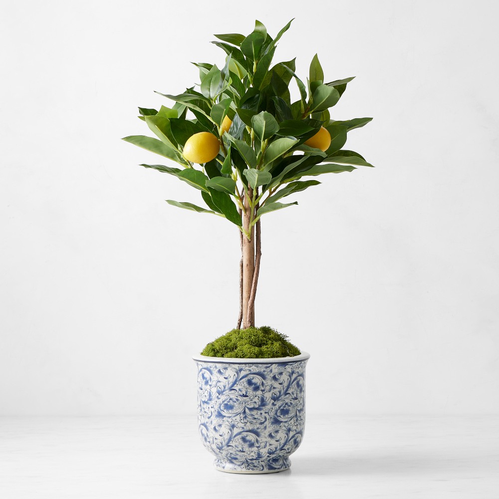 Limone Faux Lemon Topiary in Blue & White Pot, 10"