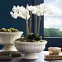 Coletta Decorative Footed Low Bowl