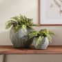 Faux Boston Fern Drop-In, 12"