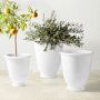 Ravello Planter