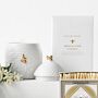 Williams Sonoma Honeycomb Porcelain Bee Candle