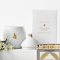 Williams Sonoma Honeycomb Porcelain Bee Candle