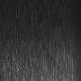 Aluminum Black