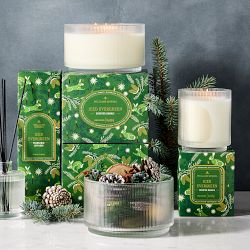 Williams Sonoma Seasonal Home Scents Iced Evergreen Potpourri