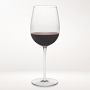Williams Sonoma Reserve Cabernet Sauvignon Glasses, Set of 2
